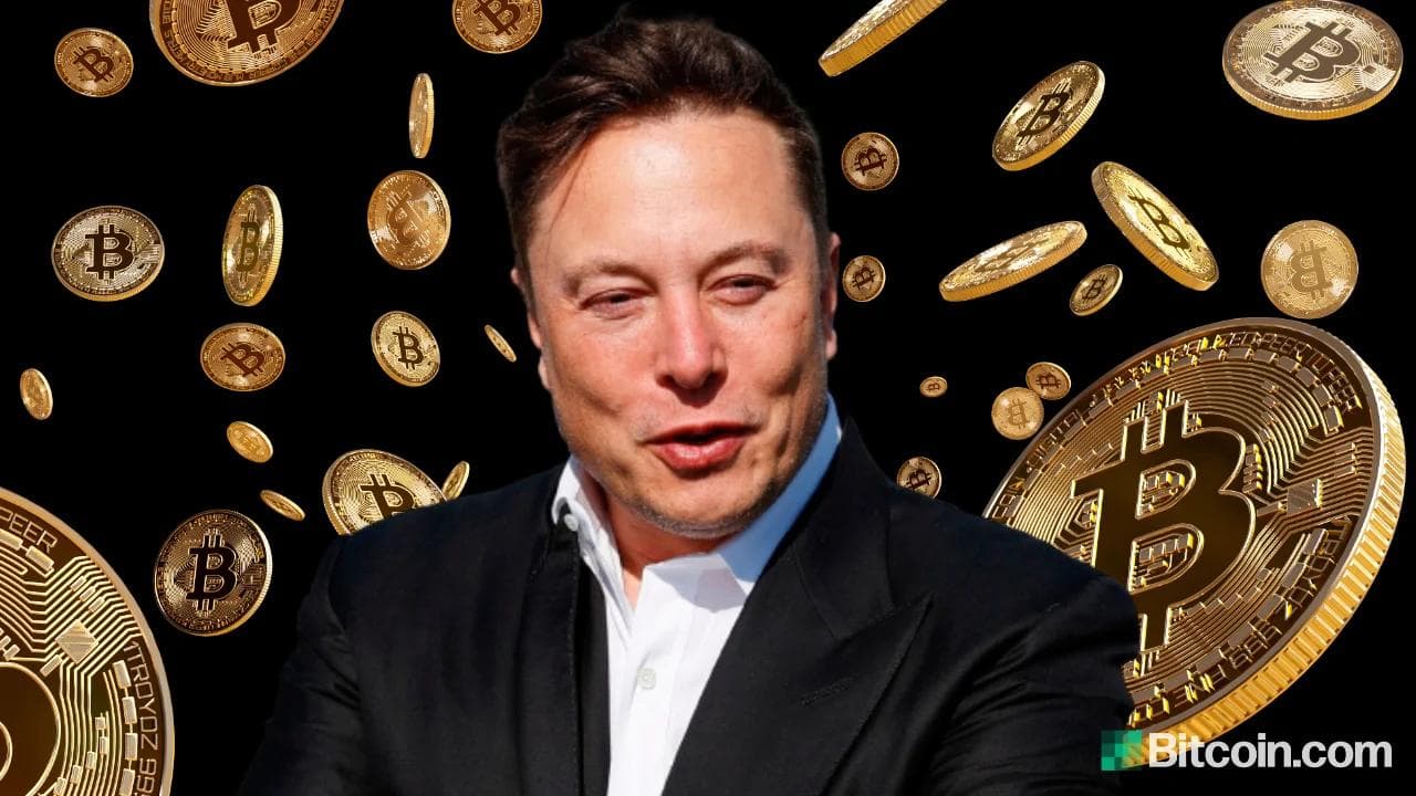 Elon Musk and Cryptocurrency